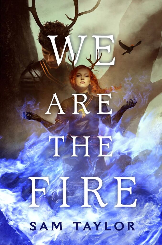 we are the fire book cover