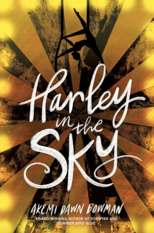harley in the sky book cover